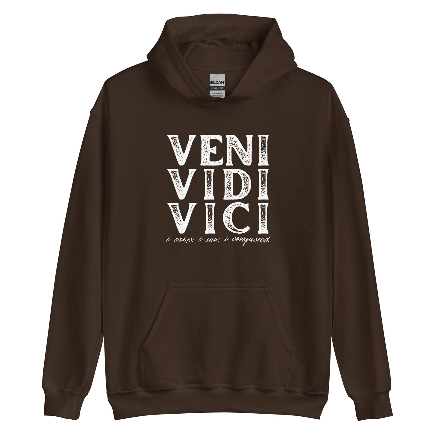 VENI VIDI VICI Unisex Hoodie