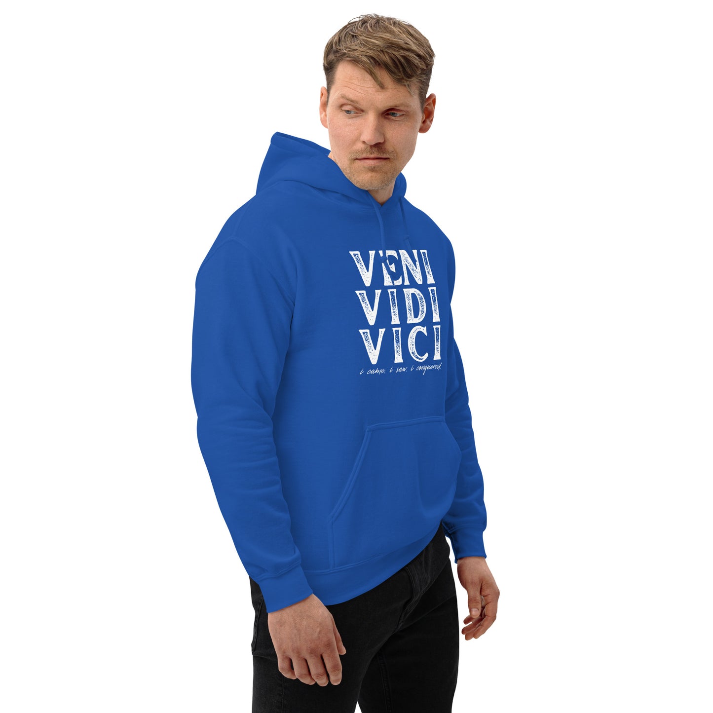 VENI VIDI VICI Unisex Hoodie